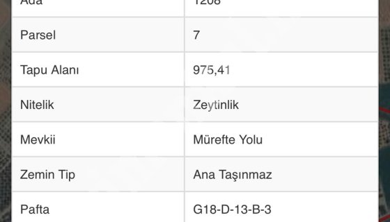 Şarköy Camikebir Zeytinlik  Yolu var